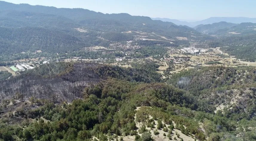 Bolu'da ormanlık alanda çıkan yangına 71 saattir müdahale ediliyor