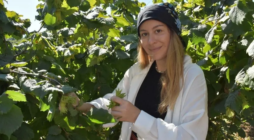 Ordulu yazılım mühendisi kadın annesiyle fındık hasadı mesaisinde