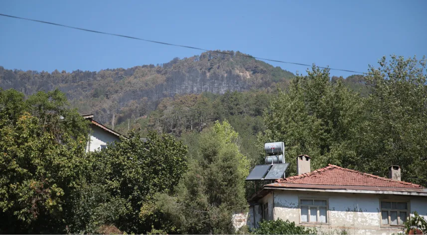 Orman yangınında soğutma çalışmaları sürüyor