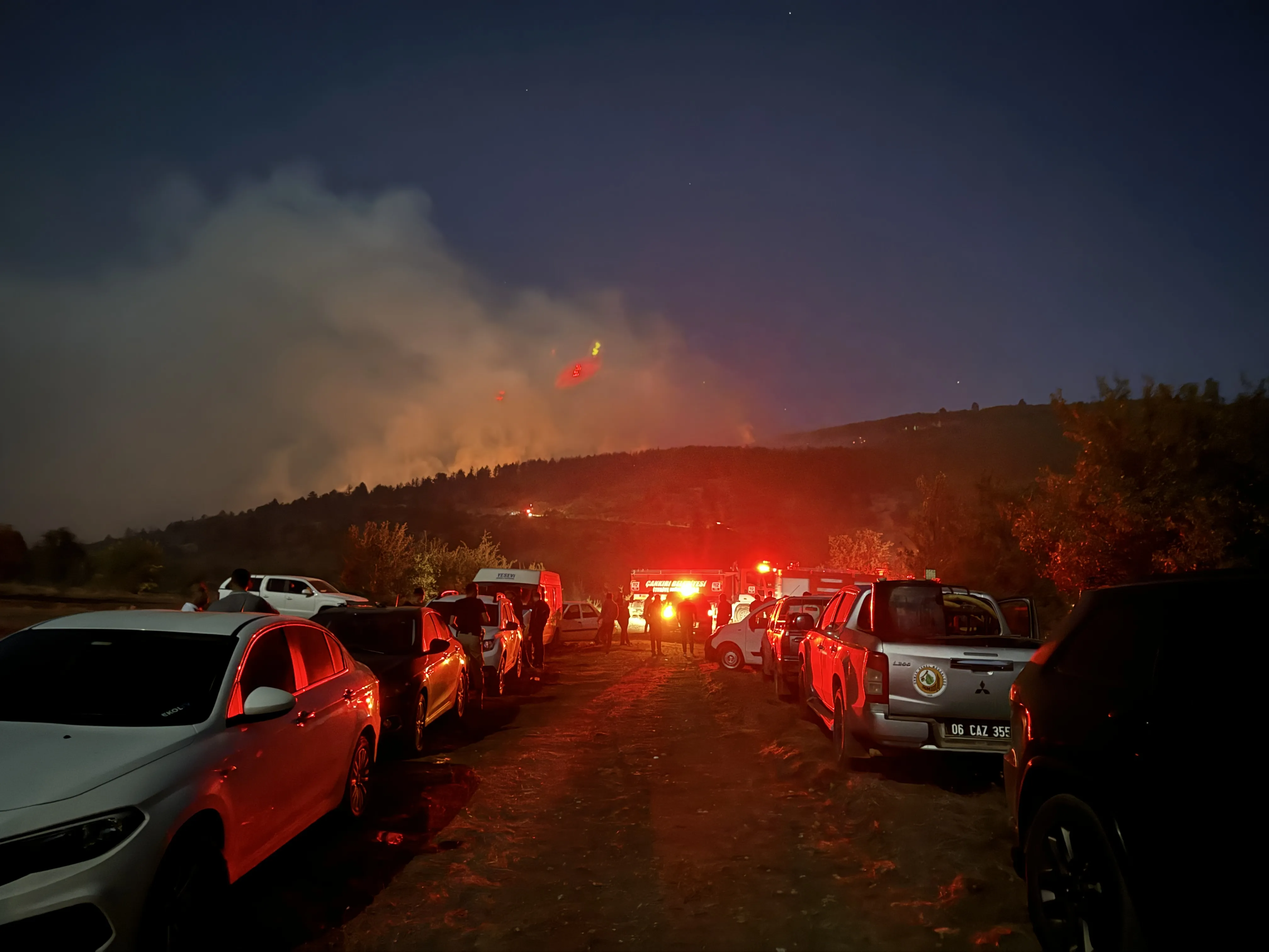 Orman yangınına müdahale ediliyor