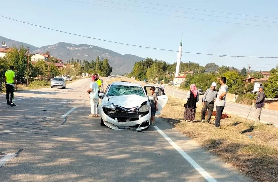 İneğe çarpan otomobildeki 2 çocuk yaralandı