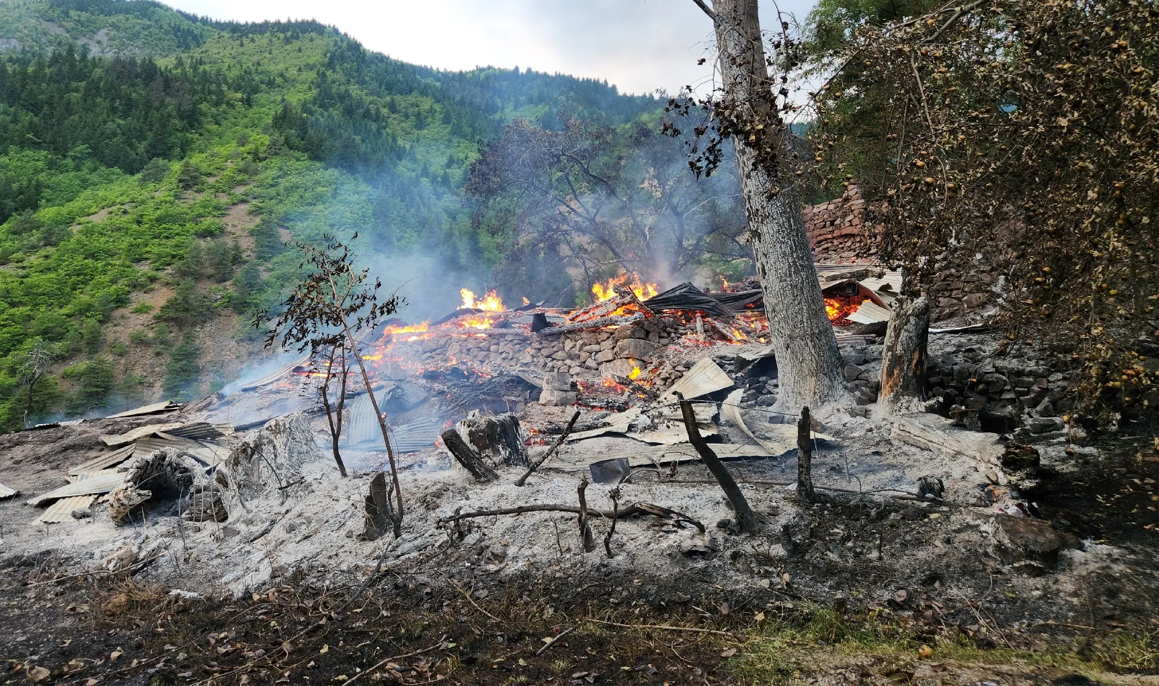 Artvin'deki yangında 3 ev kullanılmaz hale geldi