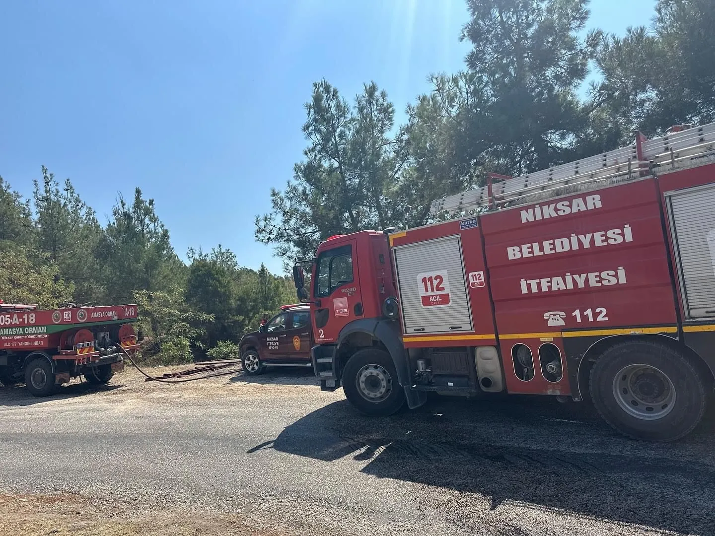 Tokat'ta çıkan orman yangını kısa sürede söndürüldü