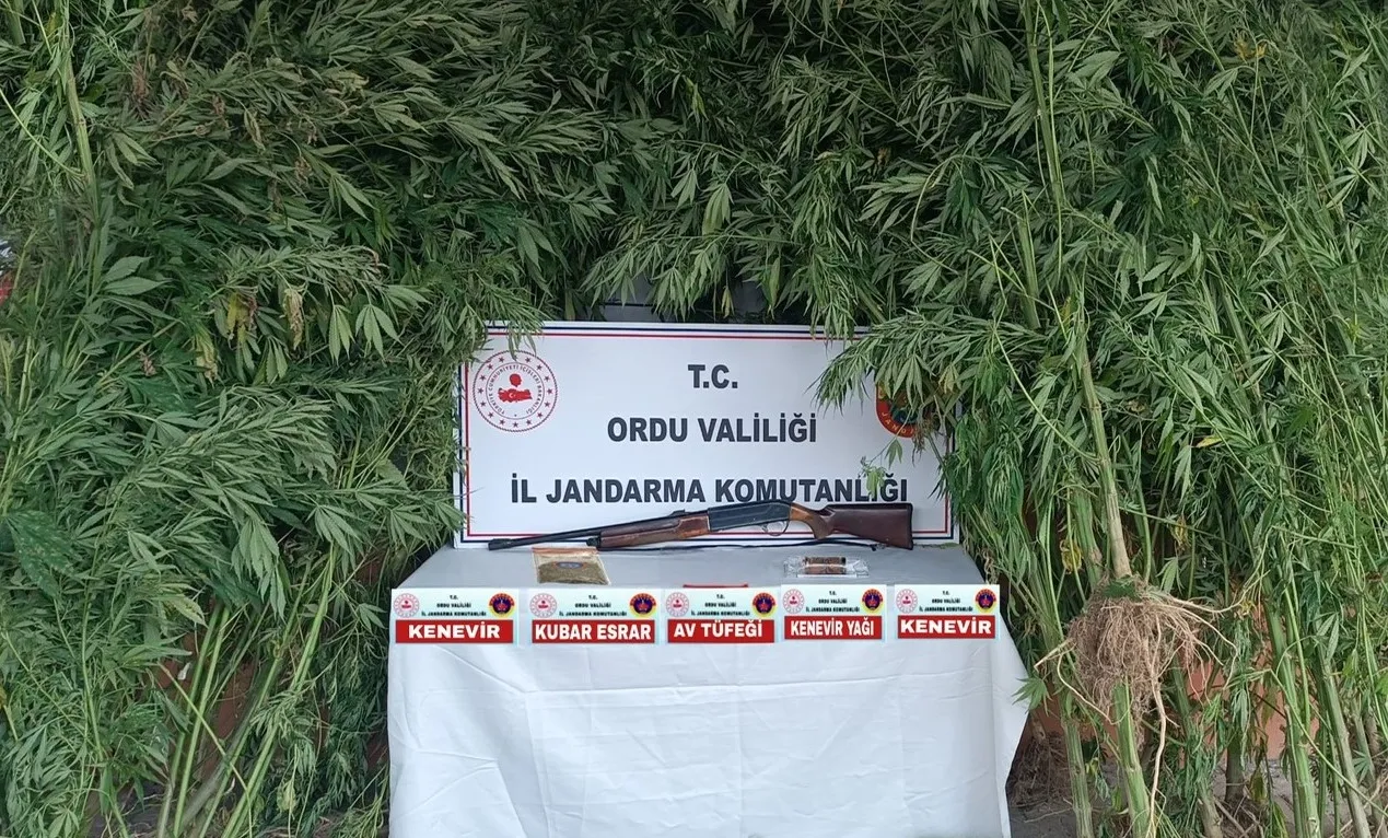 Ordu'da uyuşturucu operasyonunda bir kişi yakalandı