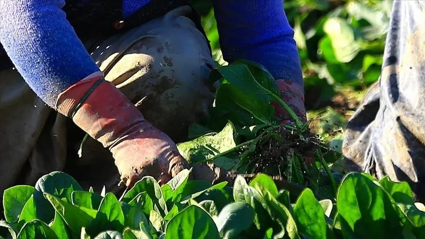 Kadın girişimcilere yönelik 'TKDK Proje Hazırlama Eğitimi' başlıyor