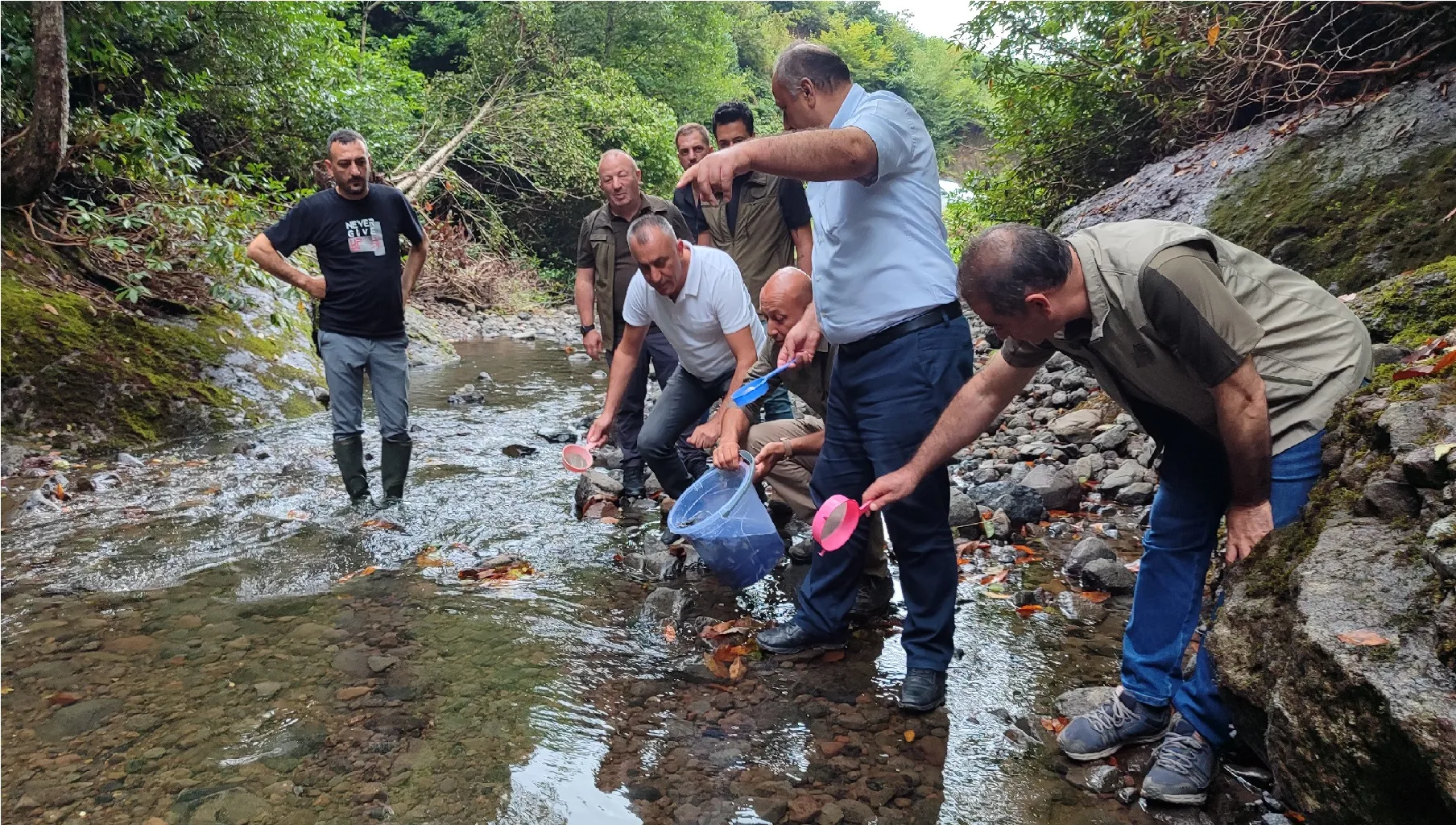 Dereye 5 bin kırmızı benekli alabalık yavrusu bırakıldı