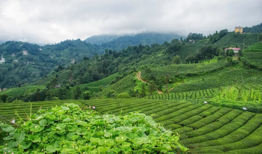 Rize'de bugün: 2 Eylül Pazartesi