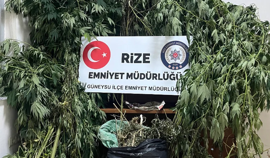 Rize’de çok sayıda uyuşturucu madde ele geçirildi