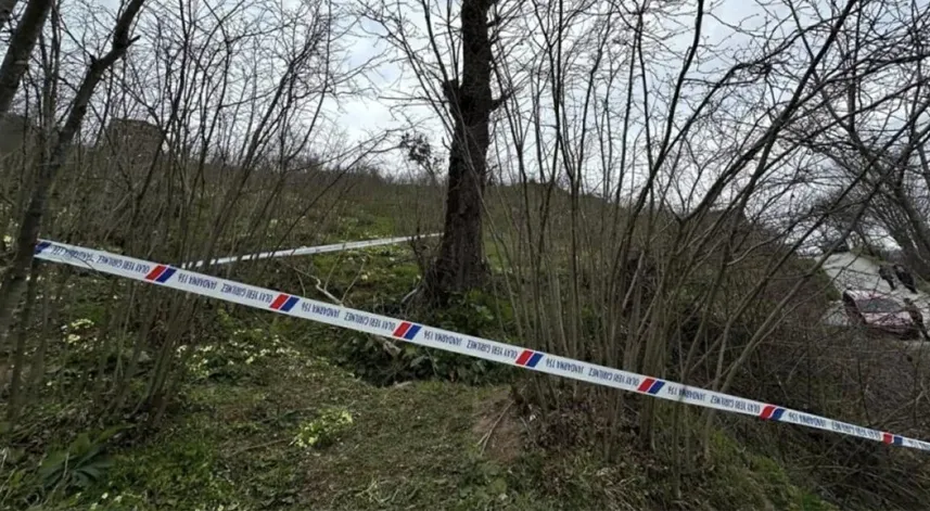 Kastamonu'da ağaçtan düşen kadın öldü