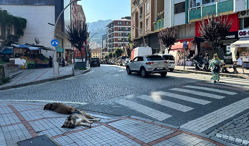 Rize'de bugün: 11 Eylül Çarşamba