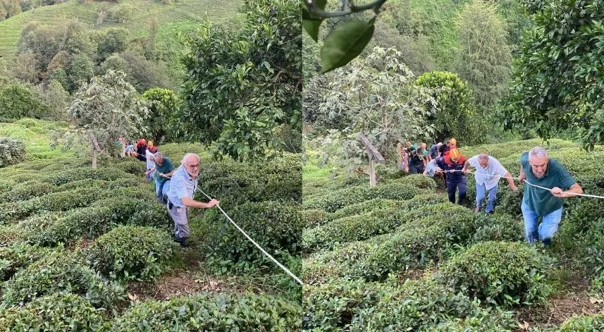 Rize'de teli kopan ilkel teleferikten çay bahçesine atlayan kadın yaralandı