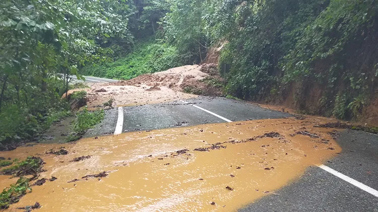 Artvin'de sağanak etkili oldu