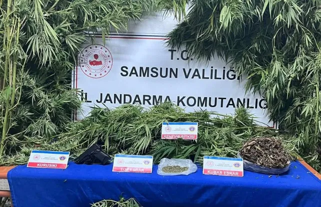 Samsun'da uyuşturucu operasyonunda 1 zanlı yakalandı