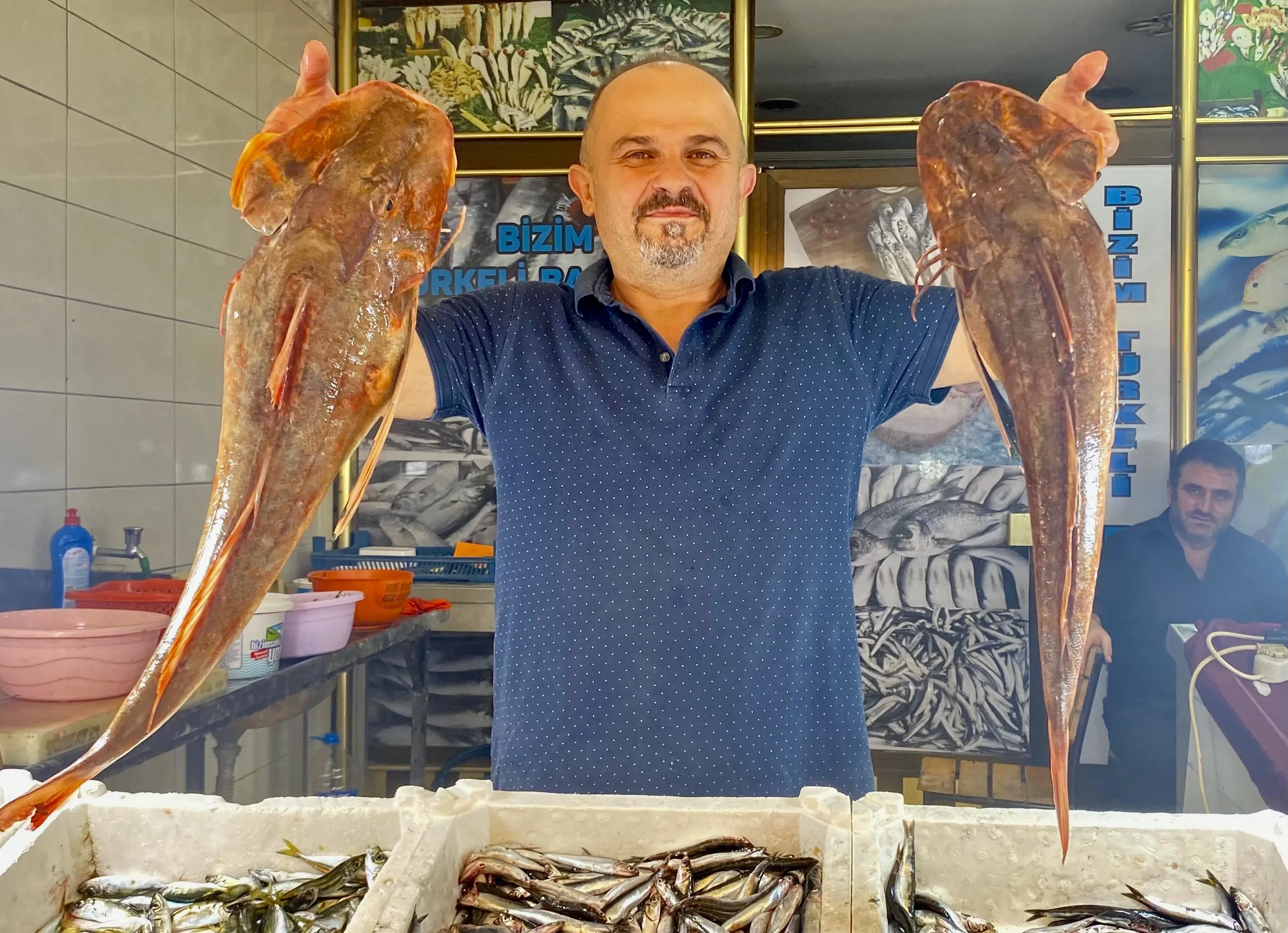 Sinop'ta 4 kilogramlık kırlangıç balığı avlandı