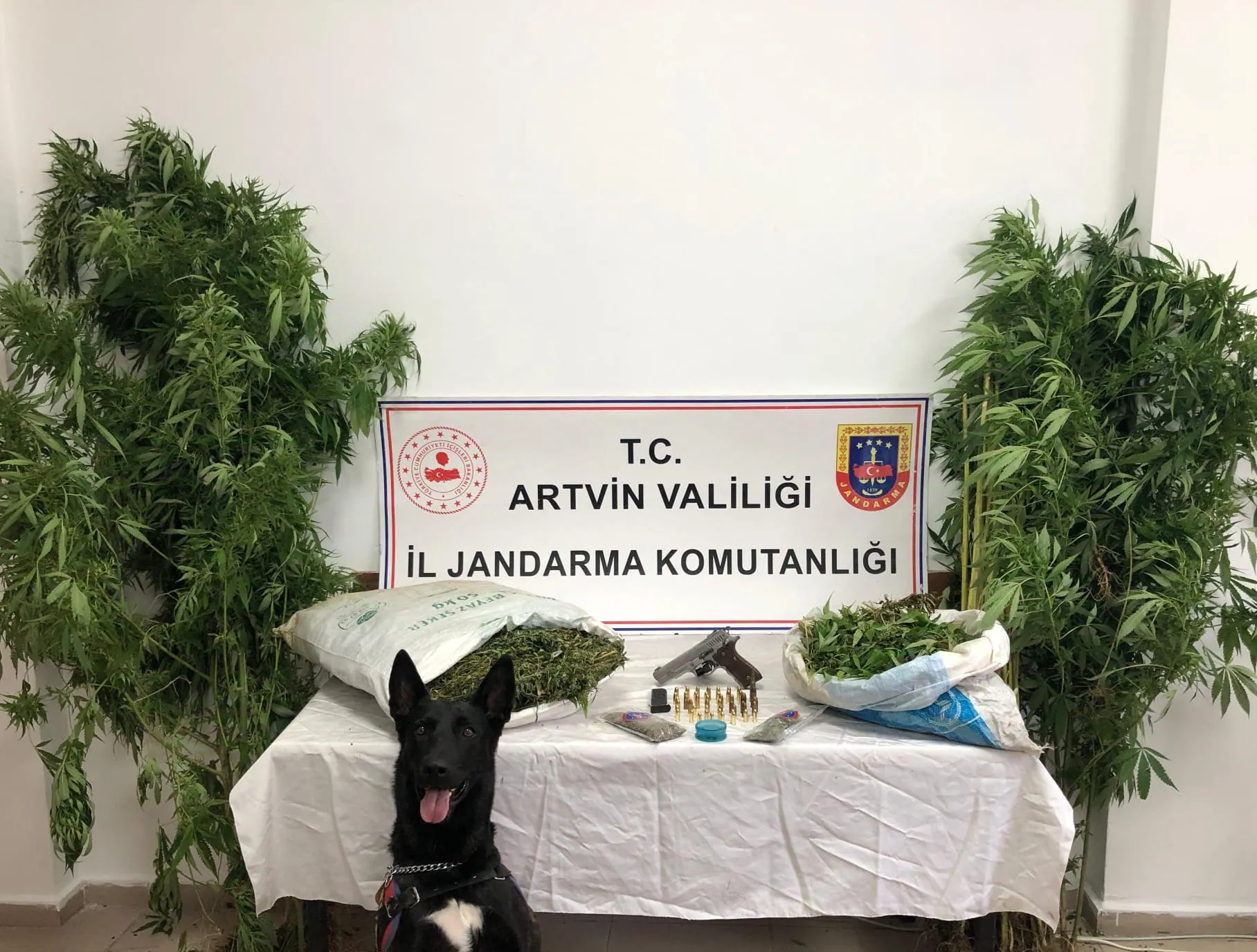 Artvin'de evlerinde uyuşturucu ele geçirilen 2 zanlı tutuklandı