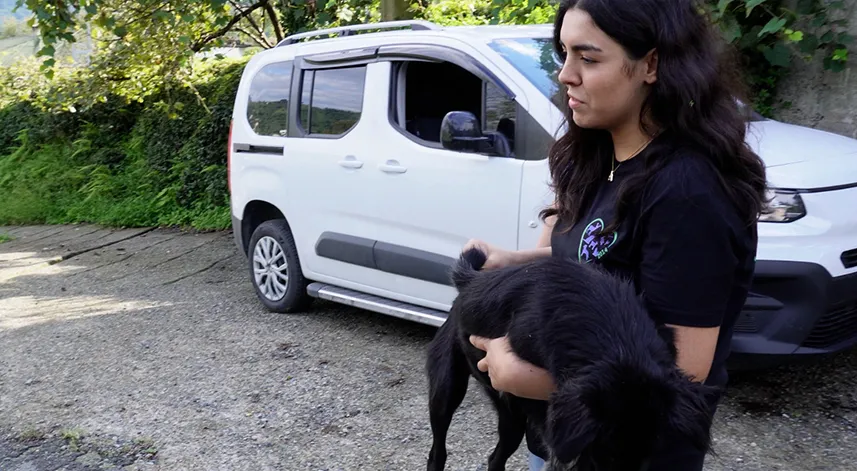 Rize Belediyesi, hayvanseverlerle ortak hareket ediyor