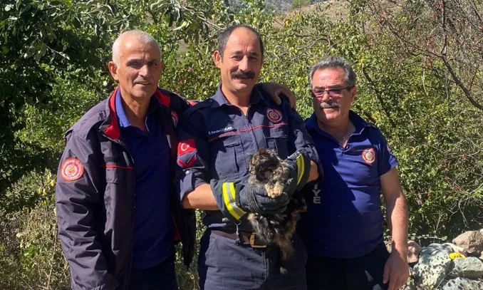 Kafası konserve kutusuna sıkışan kedi kurtarıldı