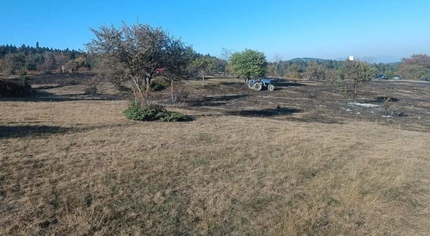 Abant Gölü Milli Parkı’nda yangın: Ormana sıçramadan söndürüldü