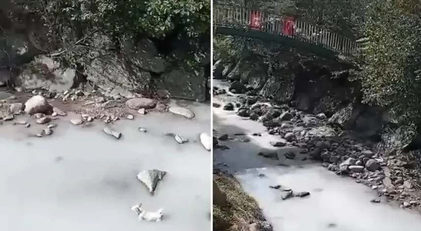 Rize'de dereye kireç döken işletmeye para cezası verildi