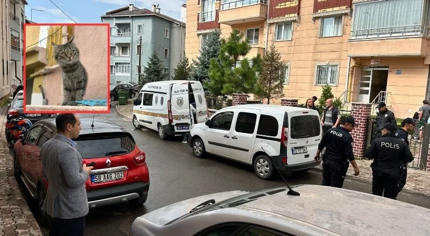 80 yaşında kedi yüzünden dehşet saçtı