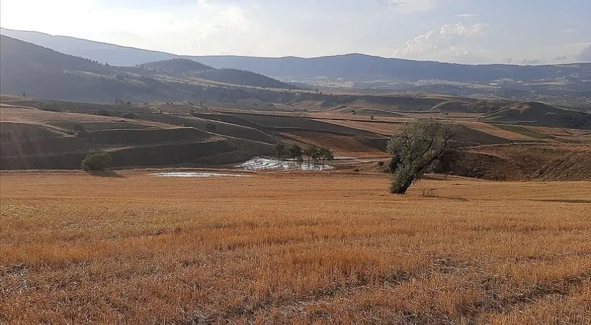 Tarım sezonundaki yağışlar geçen döneme göre yüzde 11 arttı