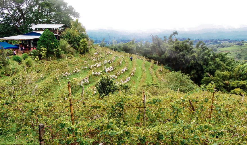 Rize tarihinde bugün: 16 Ekim