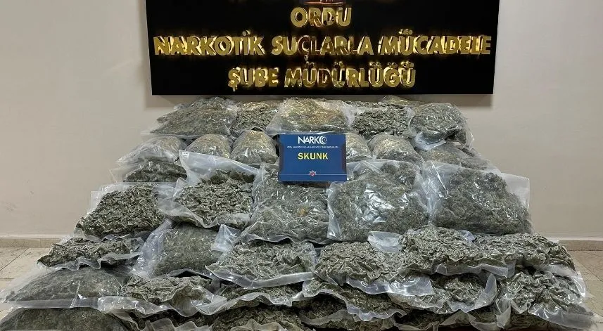 Ordu'da tırda 68 kilo 500 gram skunk ele geçirildi