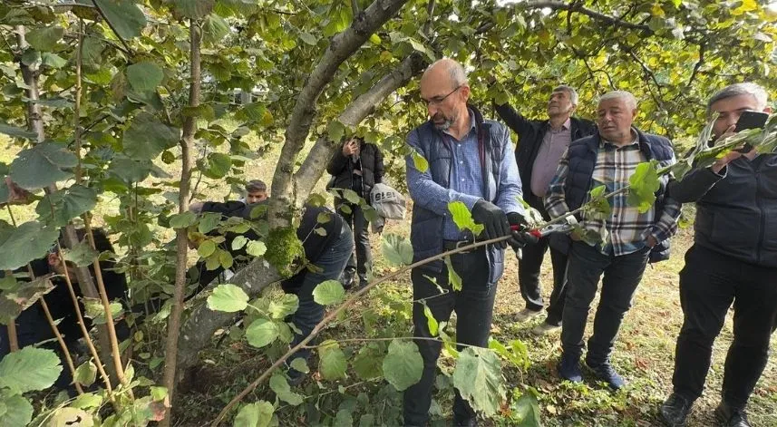 Giresun'da fındık üreticilerine modern yetiştiricilik yöntemleri öğretiliyor