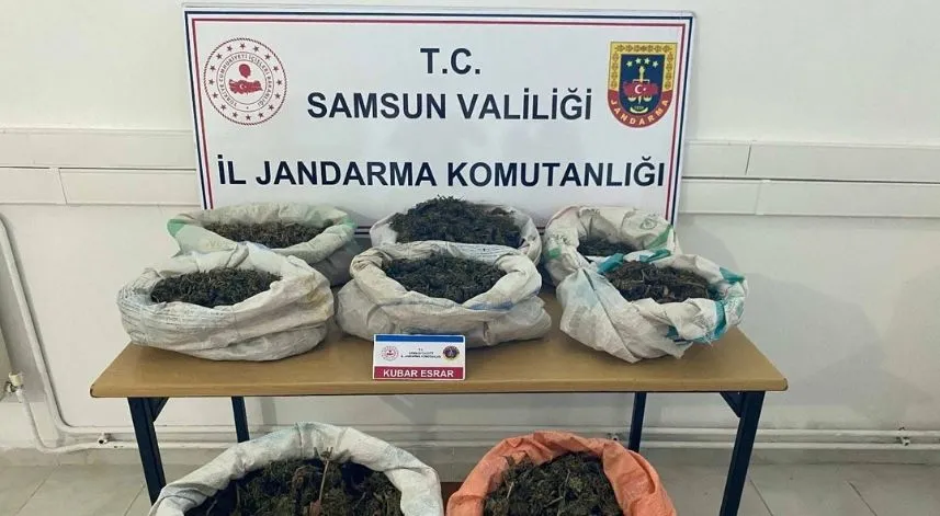 Ormanlık alana gizlenmiş 8 kilo 525 gram esrar bulundu