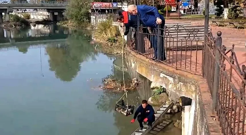 Zonguldak'ta çayda mahsur kalan kedi itfaiye merdiveniyle kurtarıldı