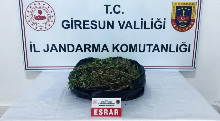 Giresun'da uyuşturucu operasyonunda bir kişi tutuklandı