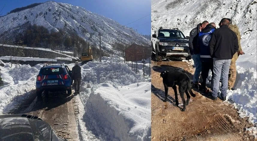 Ahırdan kaçan sürü 20 gündür Rize'nin karlı dağlarında aranıyor