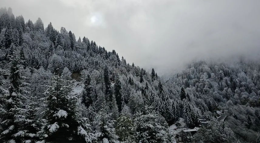 Rize'nin yüksek kesimlerine kar yağdı