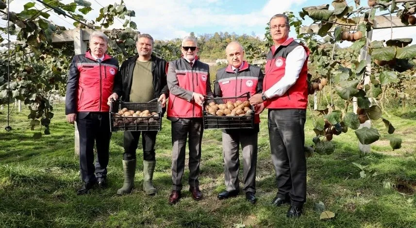 Tescilli Ordu kivisinin hasadına başlandı