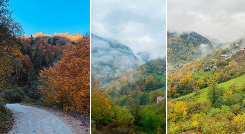 Rize, sonbaharın renk cümbüşüne büründü