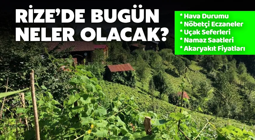 Rize'de bugün: 12 Kasım 2024 Salı