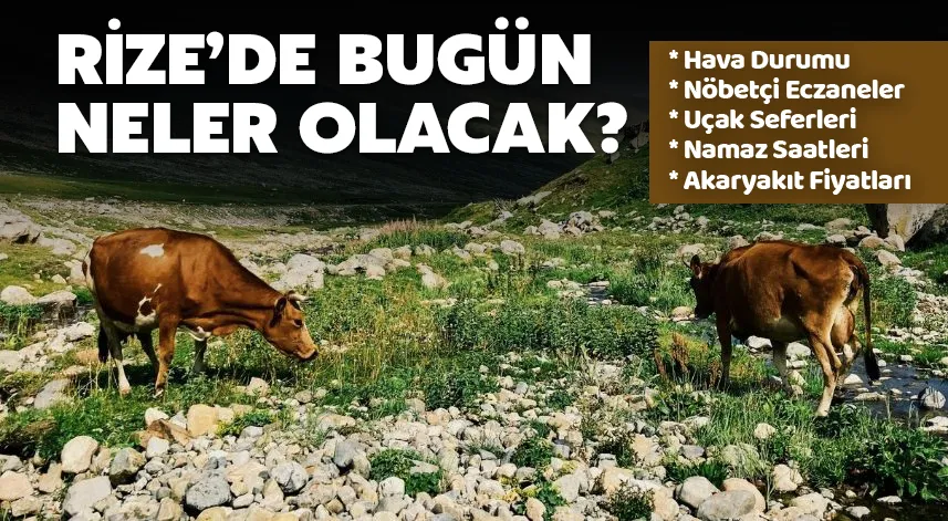 Rize'de bugün: 14 Kasım 2024 Perşembe