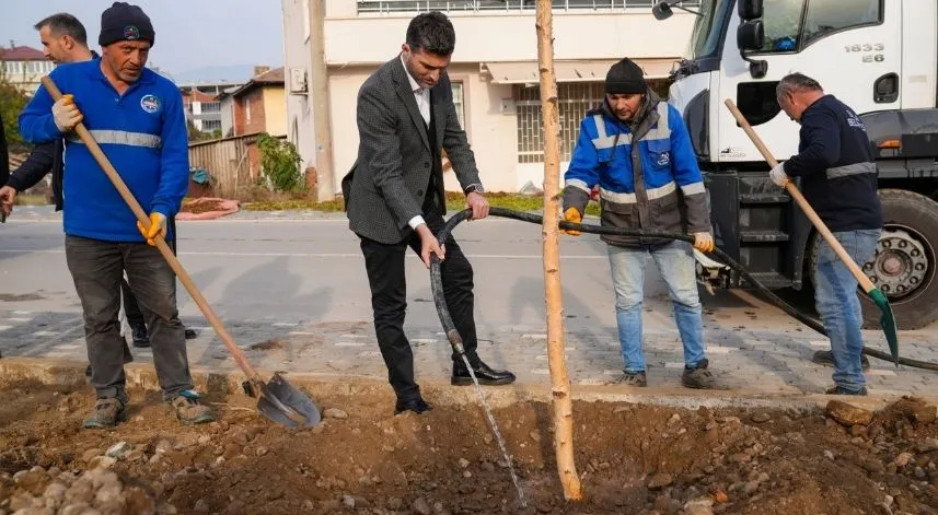 Erbaa Belediyesince 350 adet huş ağacı fidanı dikildi