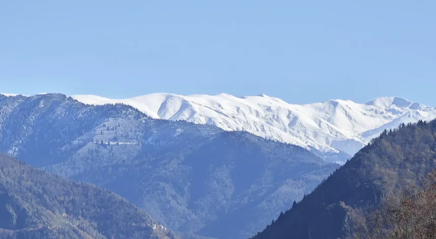 Rize'de bugün kaç tane uçak seferi var?