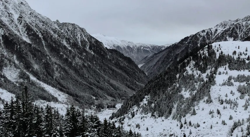 Rize'de bugün: 21 Kasım 2024 Perşembe