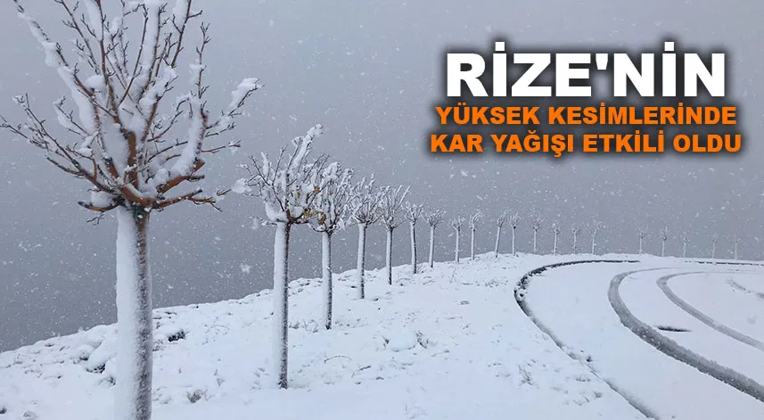 Rize'nin yüksek kesimlerinde kar yağışı etkili oldu