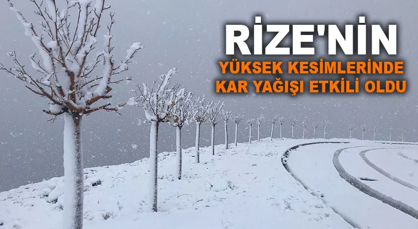 Rize'nin yüksek kesimlerinde kar yağışı etkili oldu