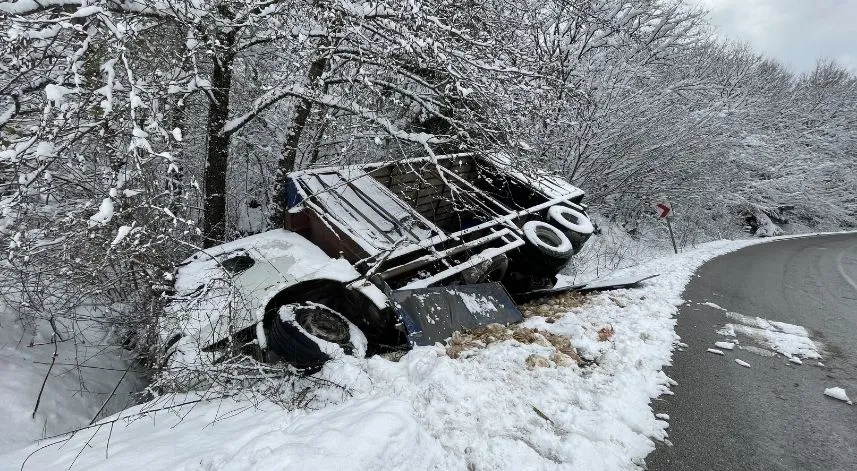 Bolu'da kamyonun devrildiği kazada onlarca tavuk telef oldu