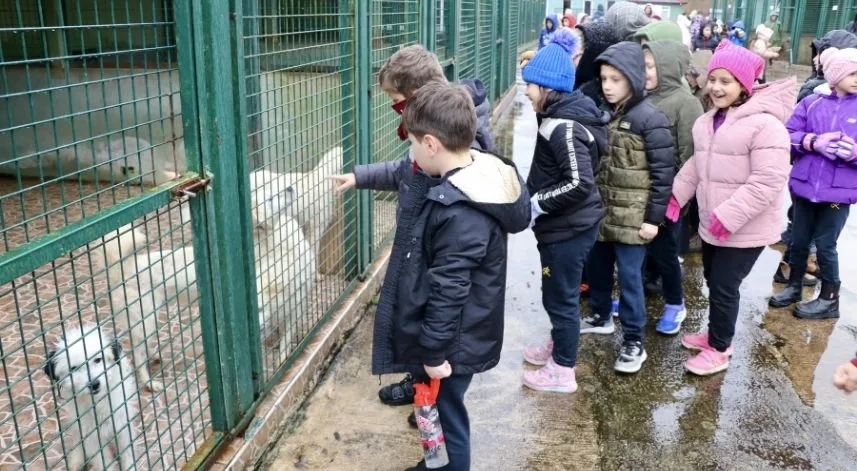 Trabzon'da iyilik timindeki öğrenciler barınaktaki köpekleri besledi