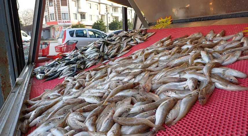 Karadeniz'deki bolluk tezgahlara da yaradı