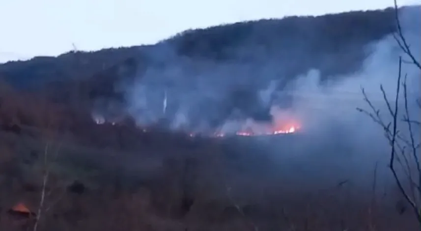 Bolu’daki örtü yangını