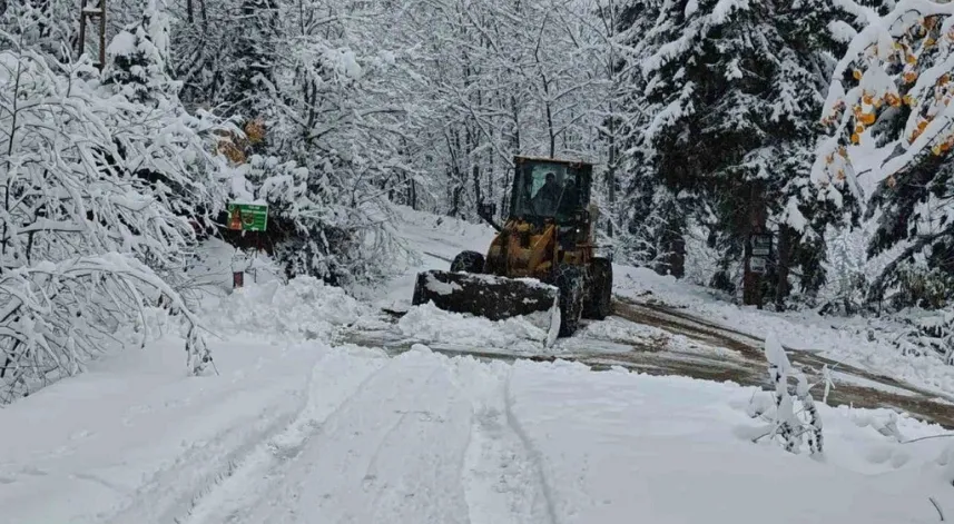 Artvin'de 47 köy yolunu ulaşıma açma çalışmaları sürüyor