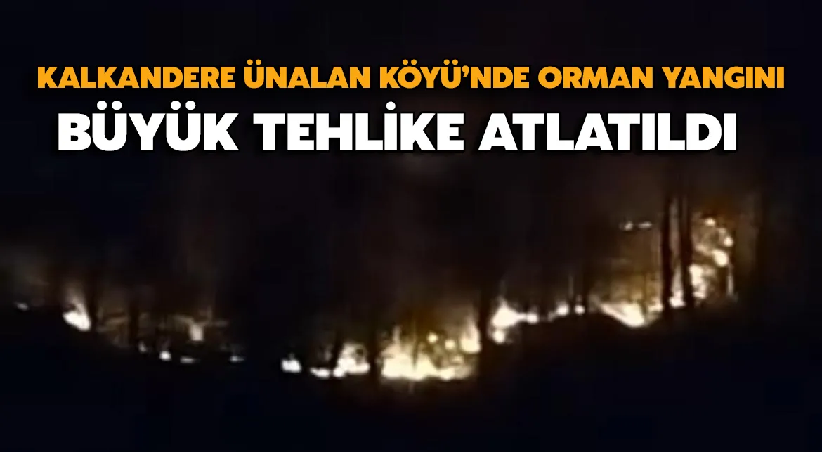 Kalkandere Ünalan Köyü’nde Orman Yangını: Büyük Tehlike Atlatıldı