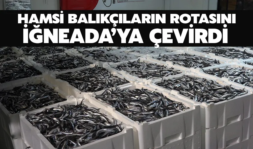 Hamsi Balıkçıların Rotasını İğneada’ya Çevirdi