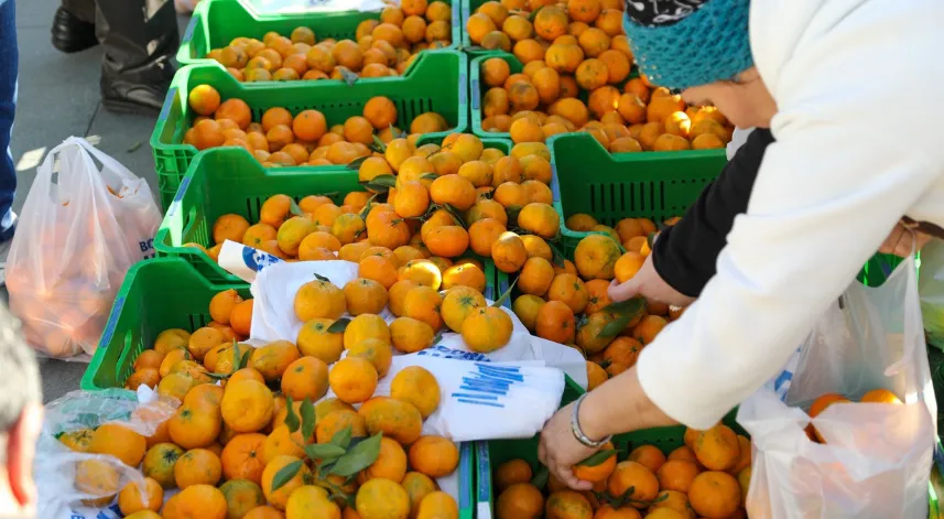 10 Ton mandalina dağıtıldı